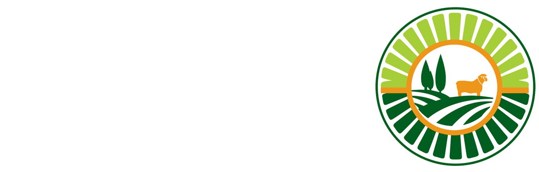 شركة تجارة الاغنام في الاردن